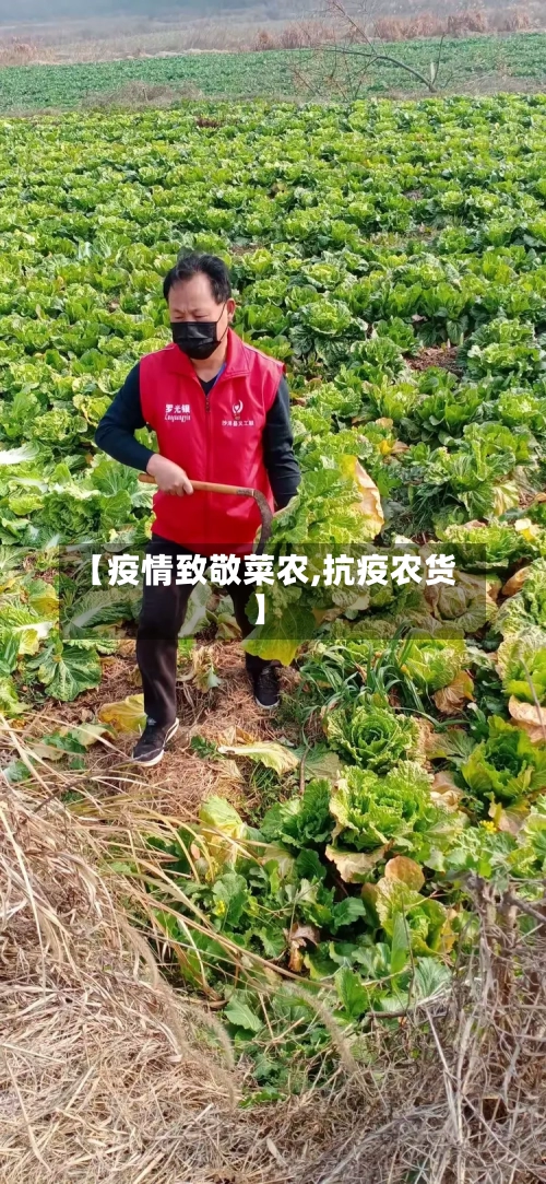【疫情致敬菜农,抗疫农货】