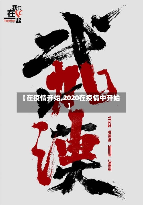 【在疫情开始,2020在疫情中开始】-第3张图片