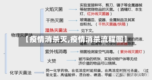 【疫情消杀灭,疫情消杀流程图】