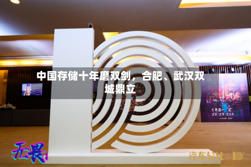 中国存储十年磨双剑，合肥、武汉双城鼎立
