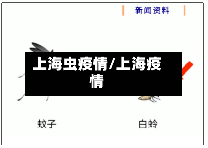 上海虫疫情/上海疫情-第2张图片