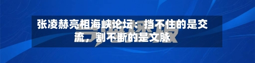 张凌赫亮相海峡论坛：挡不住的是交流，割不断的是文脉-第2张图片