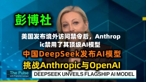 美国发布境外访问禁令后，Anthropic禁用了其顶级AI模型-第3张图片