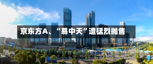 京东方A、“易中天”遭猛烈抛售-第3张图片