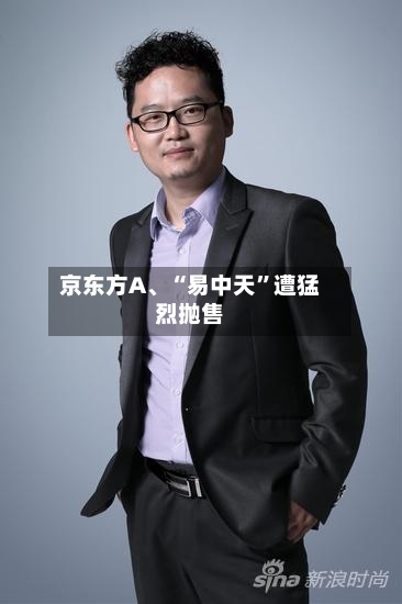 京东方A	、“易中天”遭猛烈抛售-第2张图片