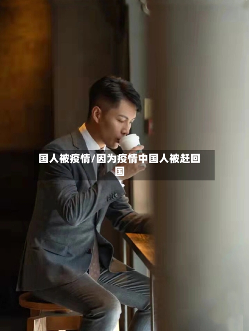 国人被疫情/因为疫情中国人被赶回国