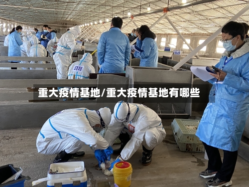 重大疫情基地/重大疫情基地有哪些