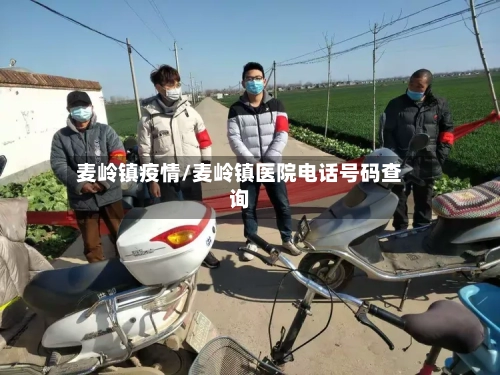 麦岭镇疫情/麦岭镇医院电话号码查询