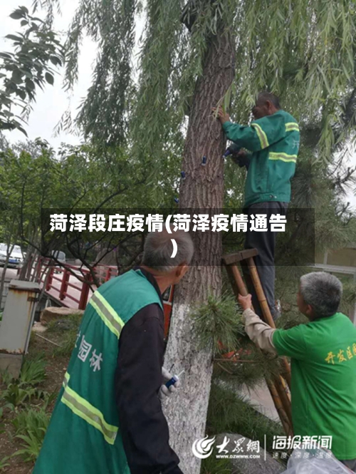 菏泽段庄疫情(菏泽疫情通告)