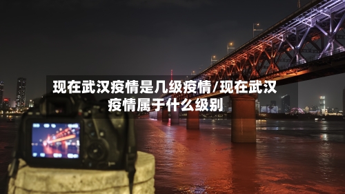 现在武汉疫情是几级疫情/现在武汉疫情属于什么级别