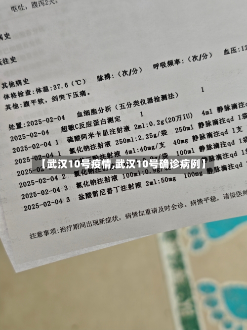 【武汉10号疫情,武汉10号确诊病例】-第3张图片