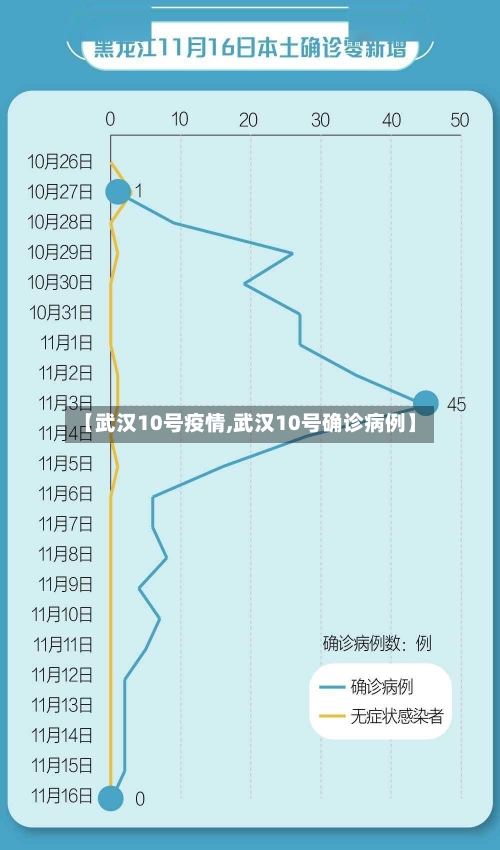 【武汉10号疫情,武汉10号确诊病例】