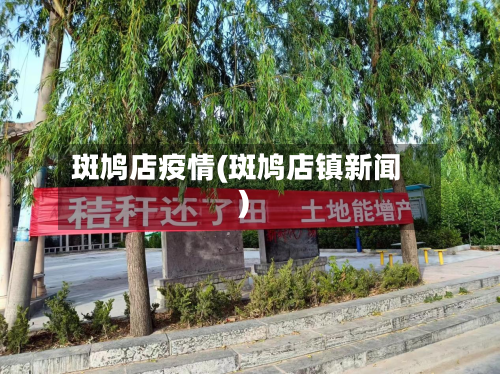斑鸠店疫情(斑鸠店镇新闻)-第3张图片