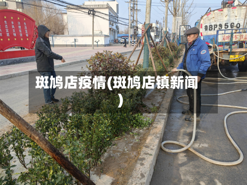 斑鸠店疫情(斑鸠店镇新闻)-第2张图片