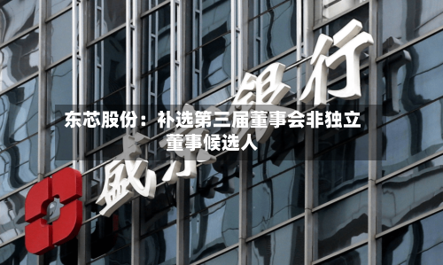 东芯股份：补选第三届董事会非独立董事候选人-第2张图片