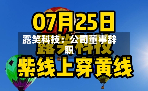 露笑科技：公司董事辞职-第2张图片