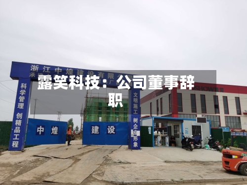 露笑科技：公司董事辞职-第3张图片