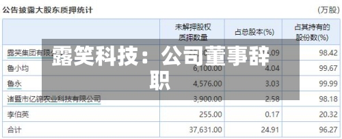 露笑科技：公司董事辞职-第1张图片