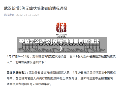 疫情怎么返汉(疫情期间如何回湖北)