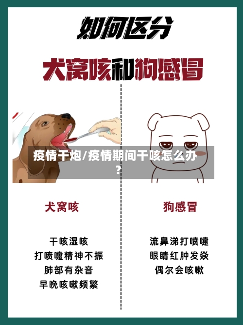 疫情干炮/疫情期间干咳怎么办?-第2张图片