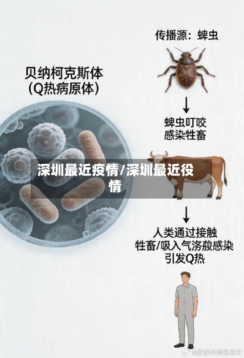 深圳最近疫情/深圳最近役情-第2张图片