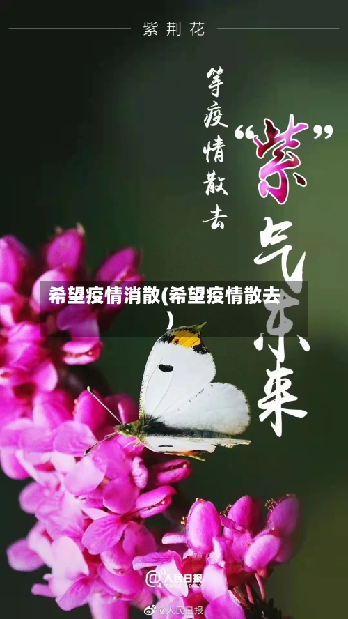 希望疫情消散(希望疫情散去)-第2张图片