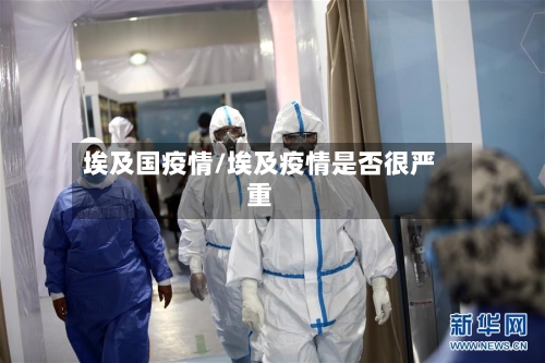 埃及国疫情/埃及疫情是否很严重