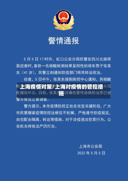 上海疫情对策/上海对疫情的管控措施