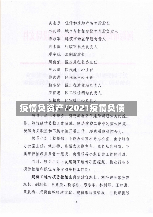 疫情负资产/2021疫情负债-第2张图片