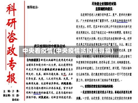 中央看疫情(中央疫情防控指导组)-第2张图片
