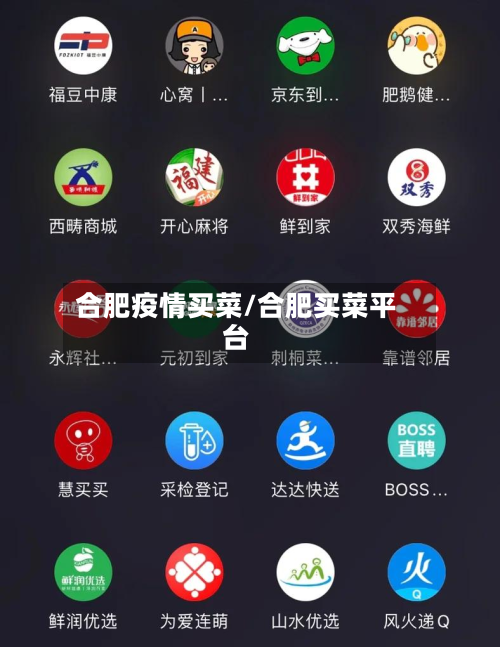 合肥疫情买菜/合肥买菜平台