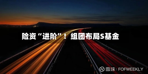 险资“进阶”！组团布局S基金-第2张图片
