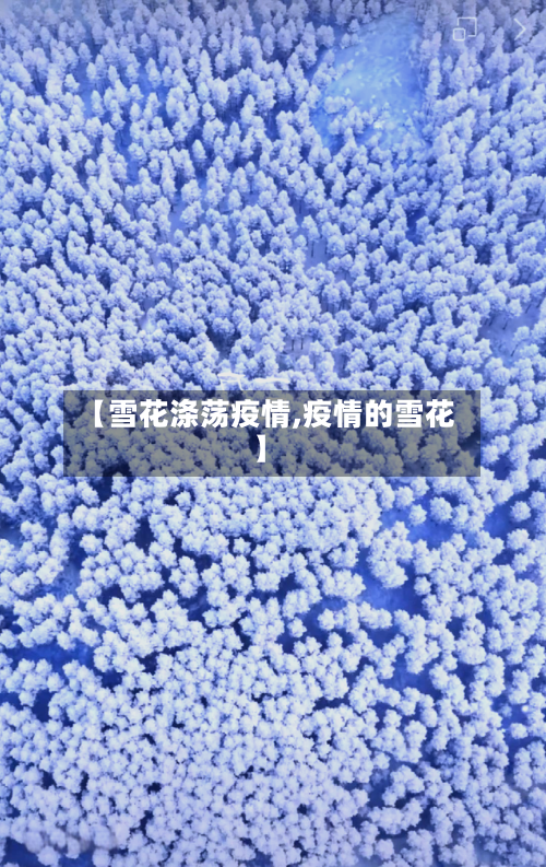 【雪花涤荡疫情,疫情的雪花】