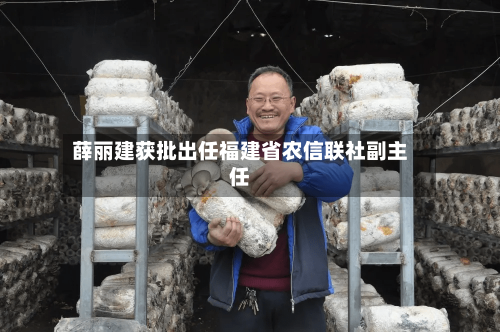 薛丽建获批出任福建省农信联社副主任
