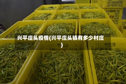 兴平庄头疫情(兴平庄头镇有多少村庄)-第3张图片