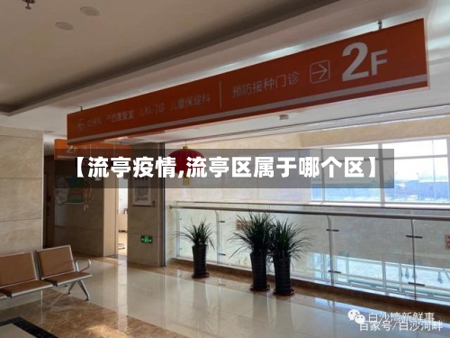 【流亭疫情,流亭区属于哪个区】-第3张图片