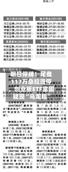 明日停牌！尾盘117万急拉涨停	，创业板ETF富国疑现“乌龙指”-第2张图片