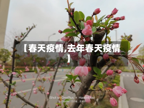 【春天疫情,去年春天疫情】-第2张图片
