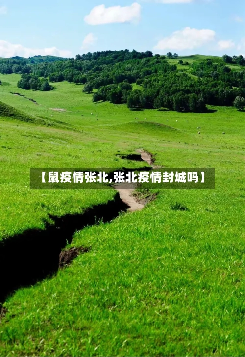 【鼠疫情张北,张北疫情封城吗】-第2张图片