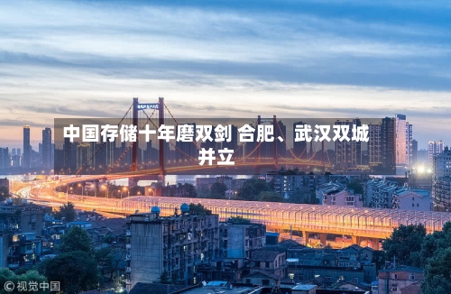 中国存储十年磨双剑 合肥、武汉双城并立-第2张图片