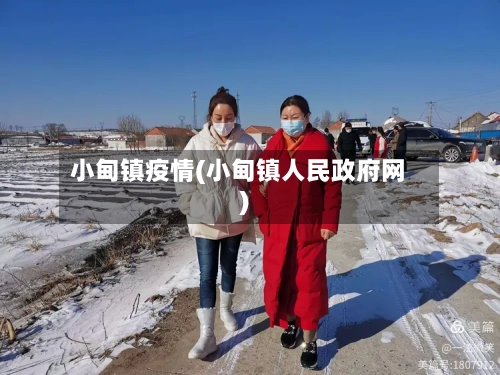 小甸镇疫情(小甸镇人民政府网)