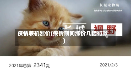 疫情装机涨价(疫情期间涨价几倍罚款)-第3张图片