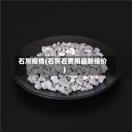 石灰疫情(石灰石费用最新报价)-第2张图片