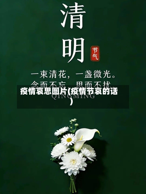 疫情哀思图片(疫情节哀的话)-第3张图片