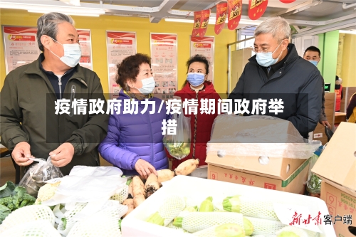 疫情政府助力/疫情期间政府举措-第2张图片