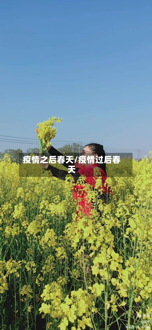 疫情之后春天/疫情过后春天