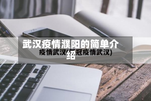 武汉疫情濮阳的简单介绍