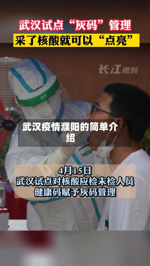 武汉疫情濮阳的简单介绍-第2张图片
