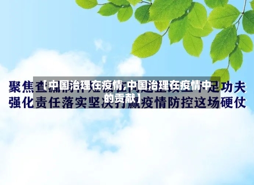 【中国治理在疫情,中国治理在疫情中的贡献】-第2张图片