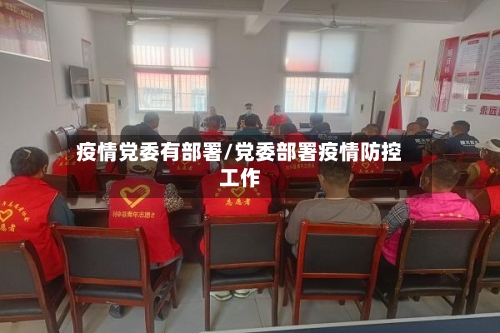 疫情党委有部署/党委部署疫情防控工作